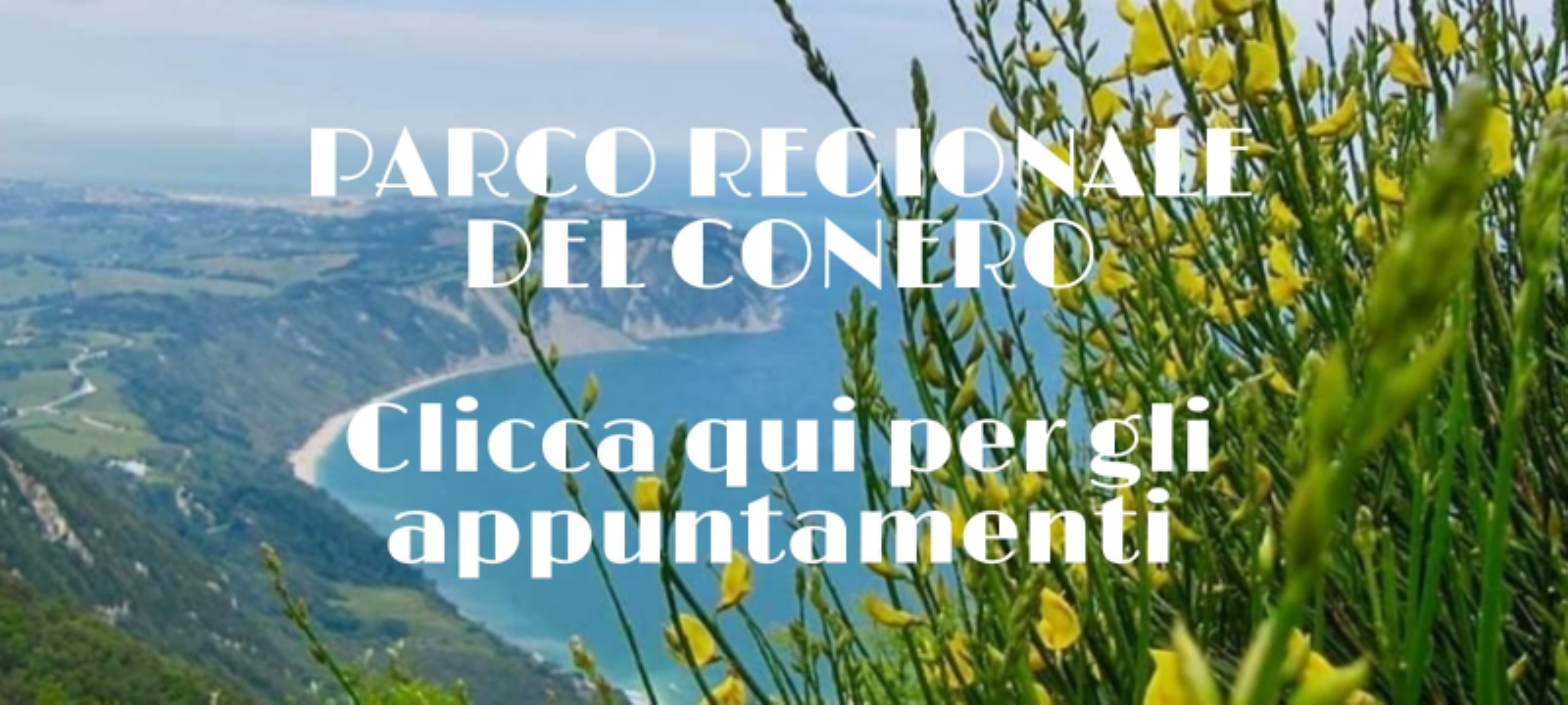 parco regionale del conero banner